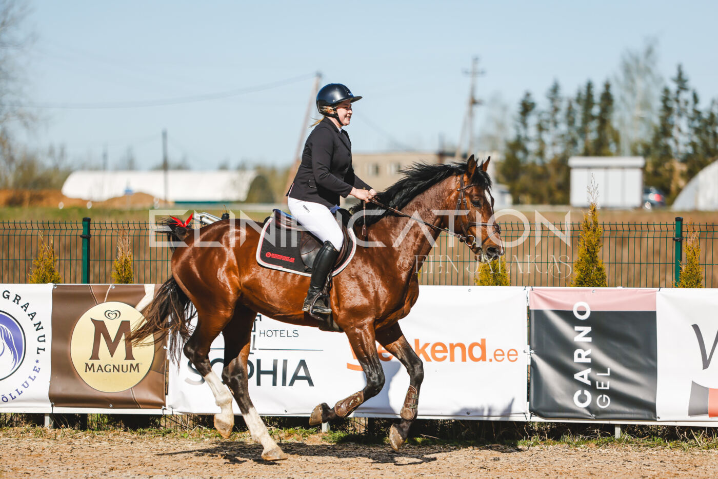 Gramina_Volber_2026_hc70-80_0001