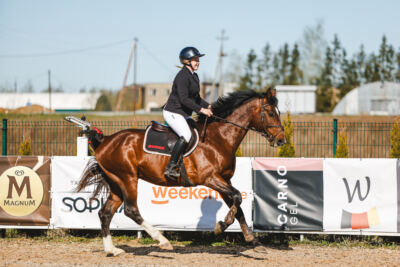 Gramina_Volber_2026_hc70-80_0002