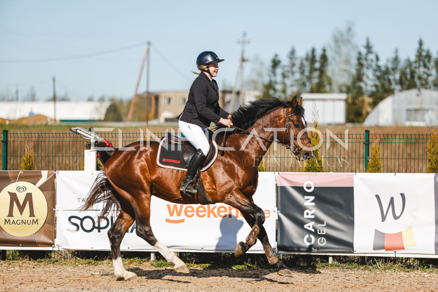 Gramina_Volber_2026_hc70-80_0002