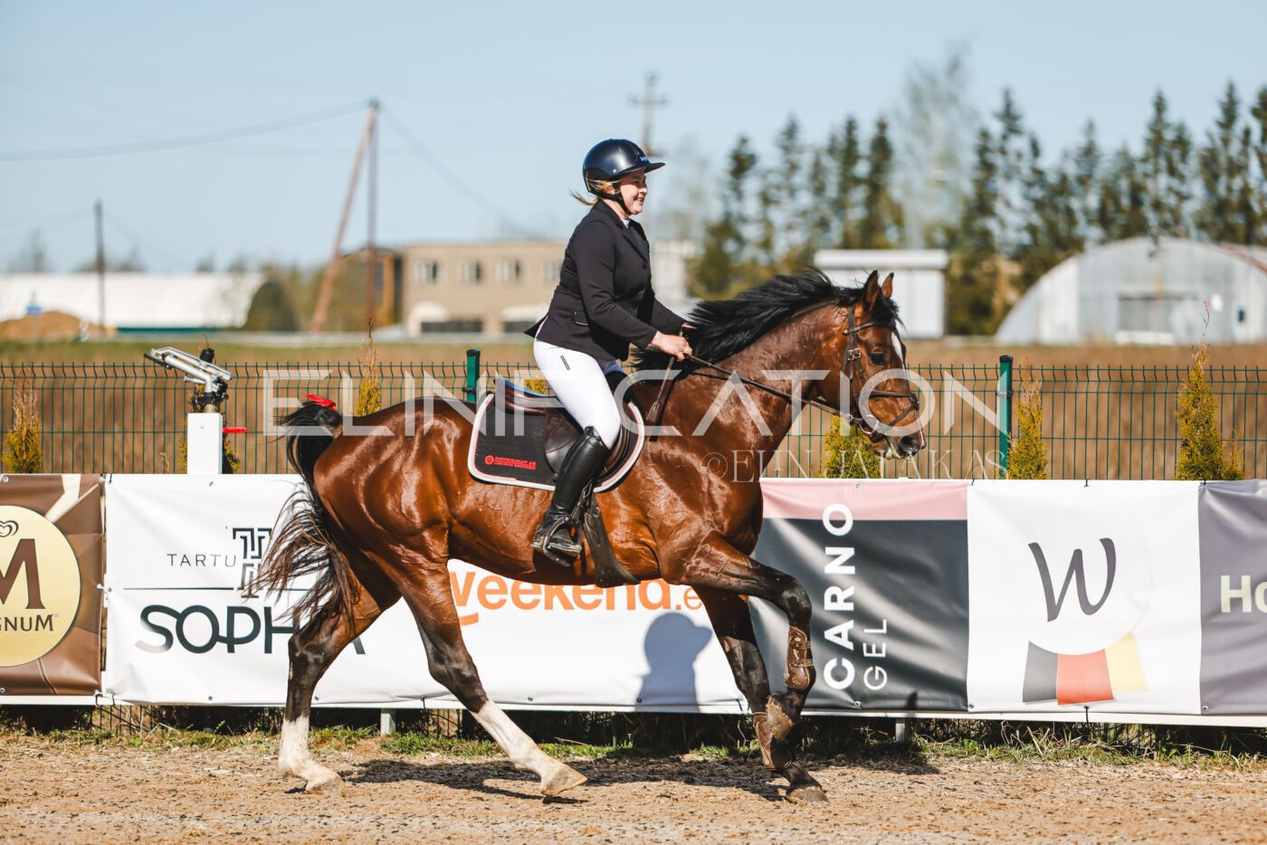 Gramina_Volber_2026_hc70-80_0003