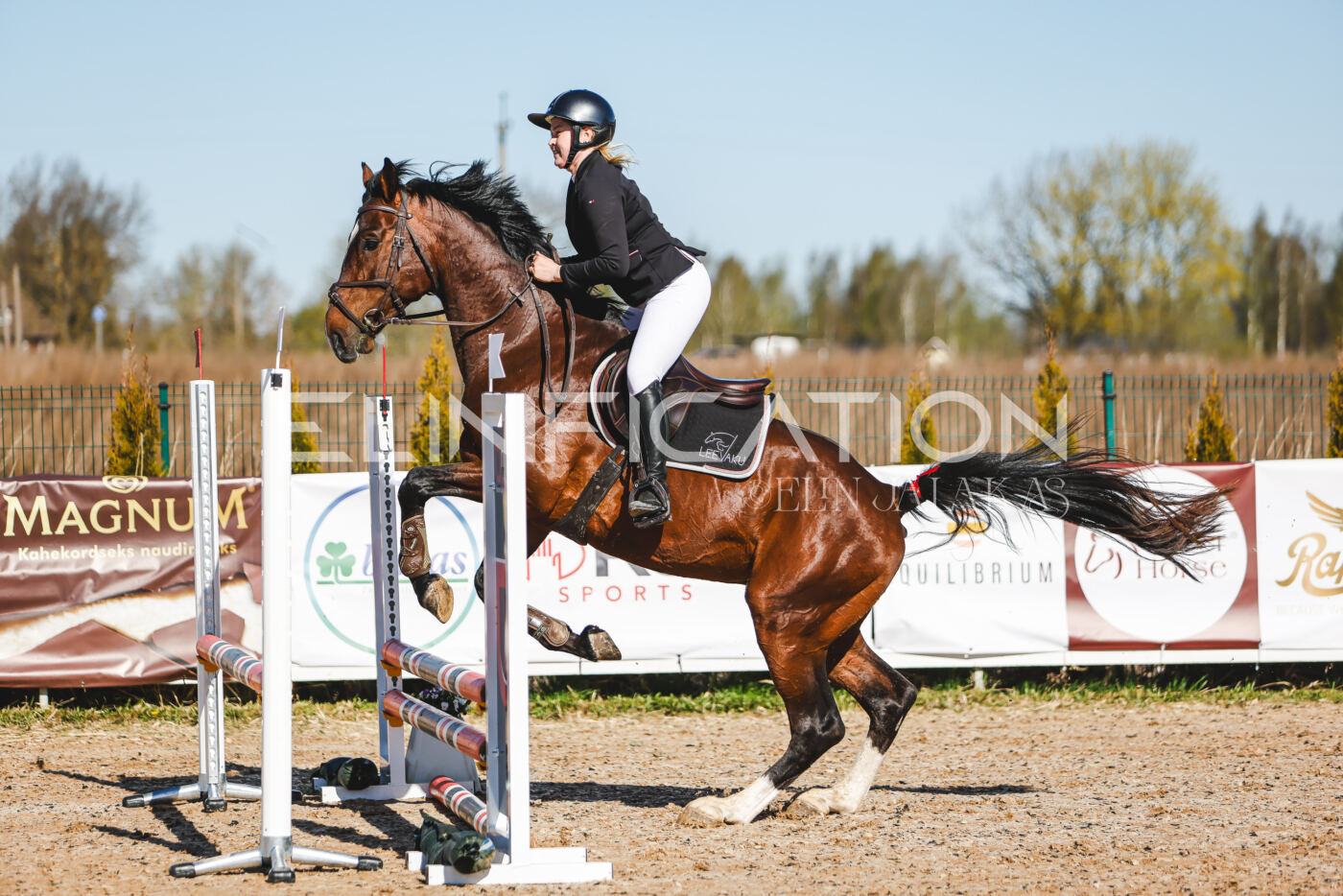 Gramina_Volber_2026_hc70-80_0005