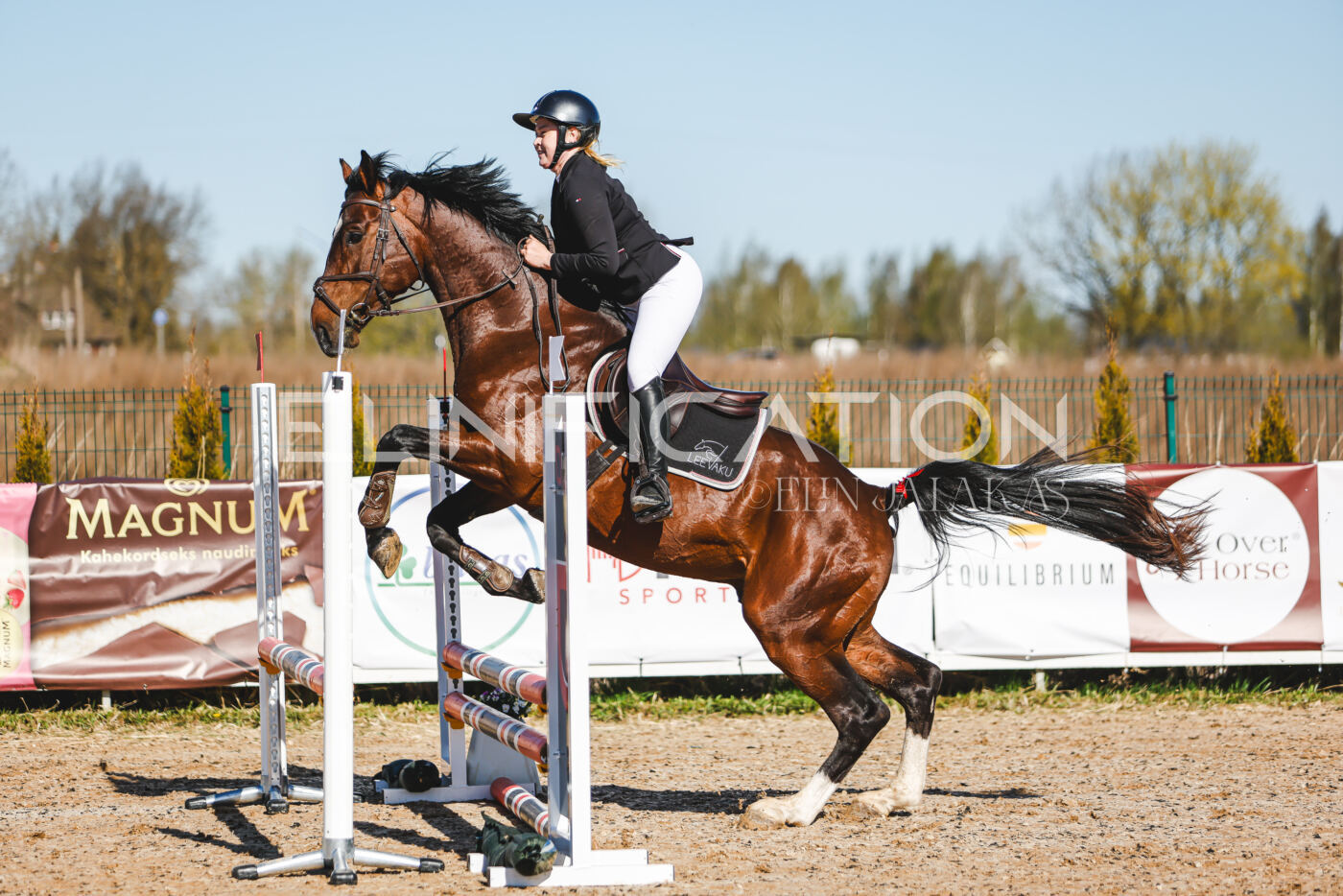 Gramina_Volber_2026_hc70-80_0006