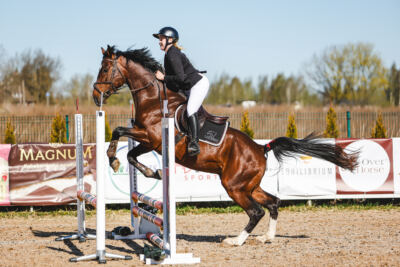 Gramina_Volber_2026_hc70-80_0006