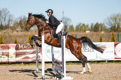 Gramina_Volber_2026_hc70-80_0008