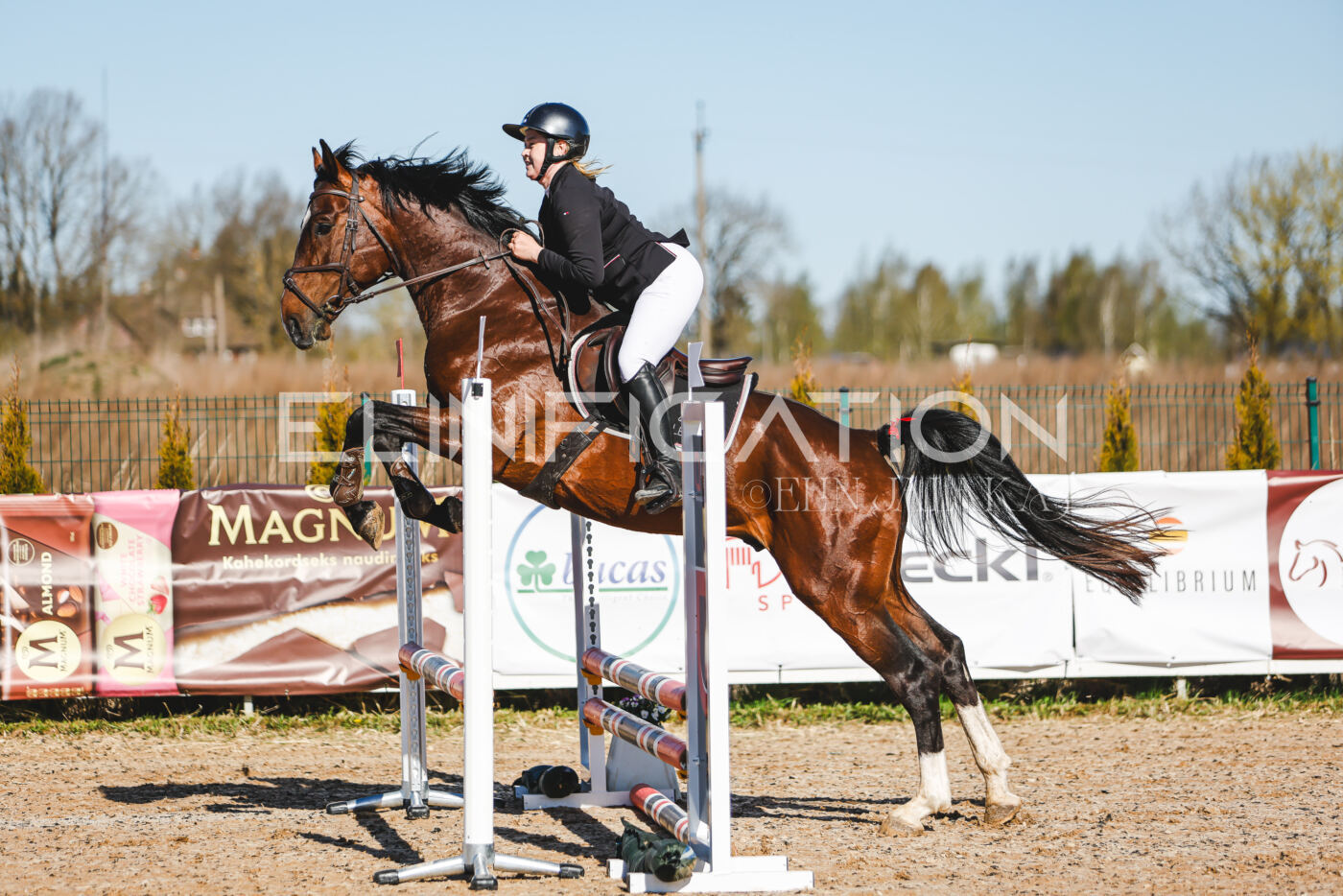 Gramina_Volber_2026_hc70-80_0008