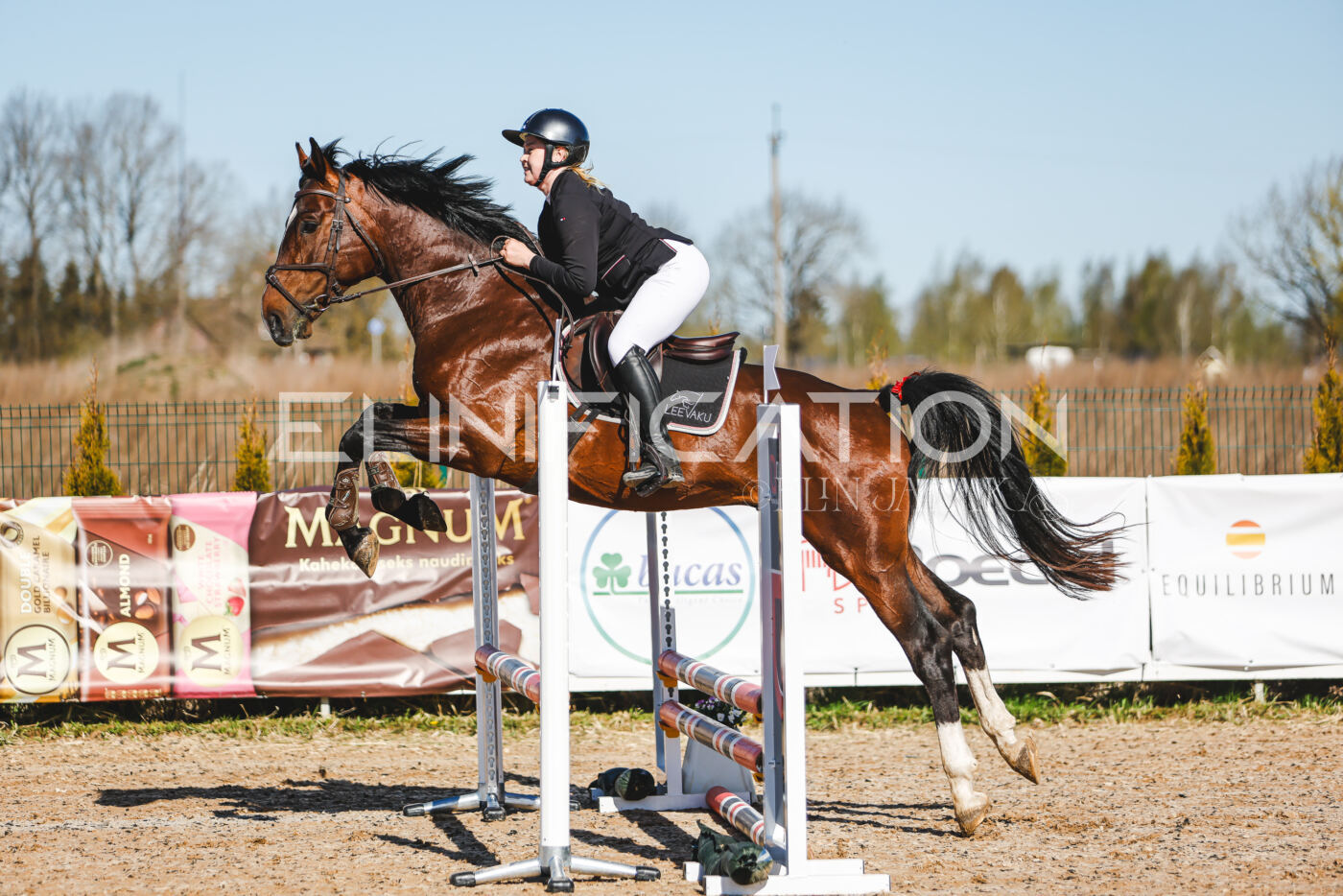 Gramina_Volber_2026_hc70-80_0009