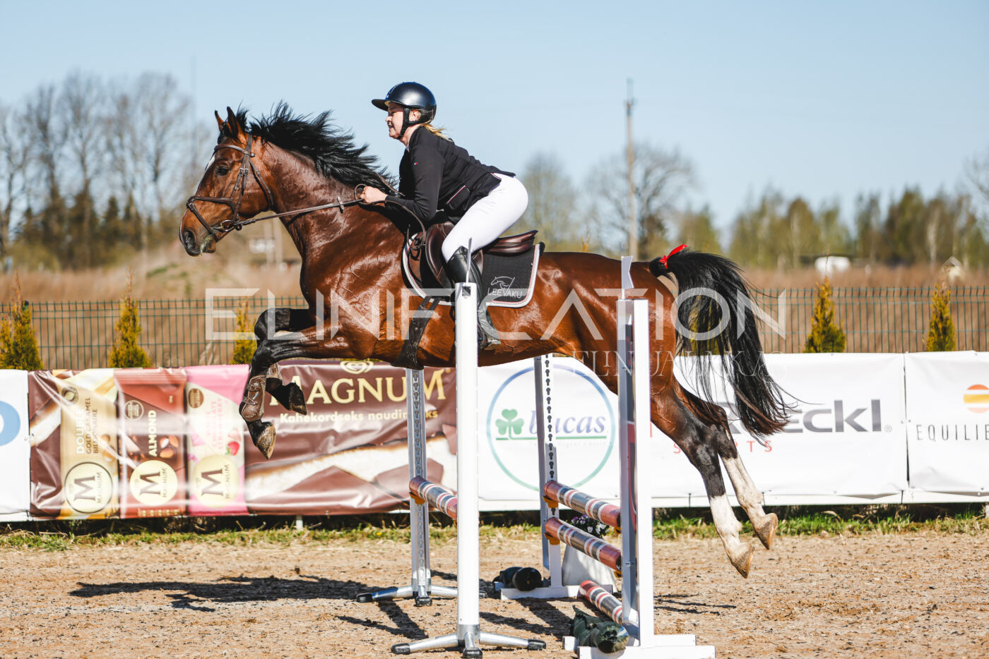 Gramina_Volber_2026_hc70-80_0010