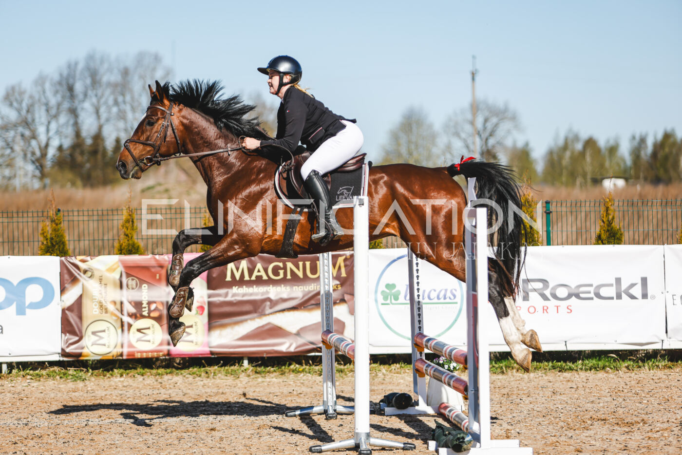 Gramina_Volber_2026_hc70-80_0011