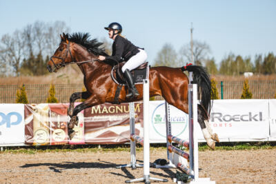 Gramina_Volber_2026_hc70-80_0011