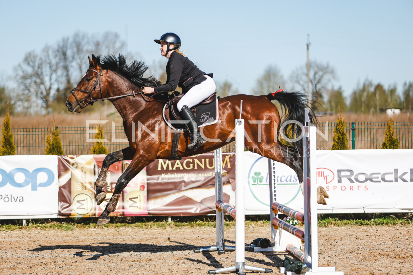 Gramina_Volber_2026_hc70-80_0012