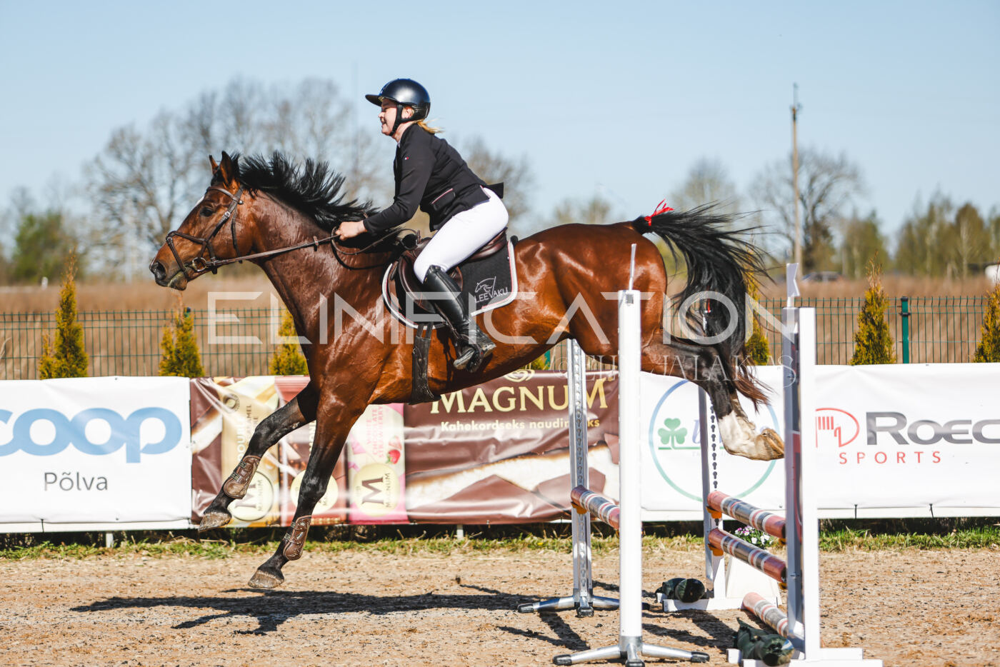 Gramina_Volber_2026_hc70-80_0013