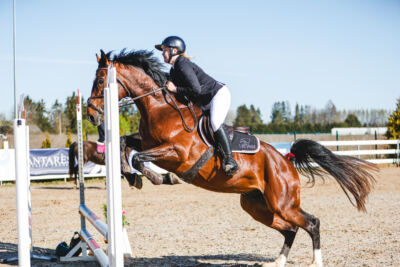 Gramina_Volber_2026_hc70-80_0018