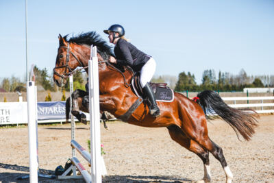 Gramina_Volber_2026_hc70-80_0019