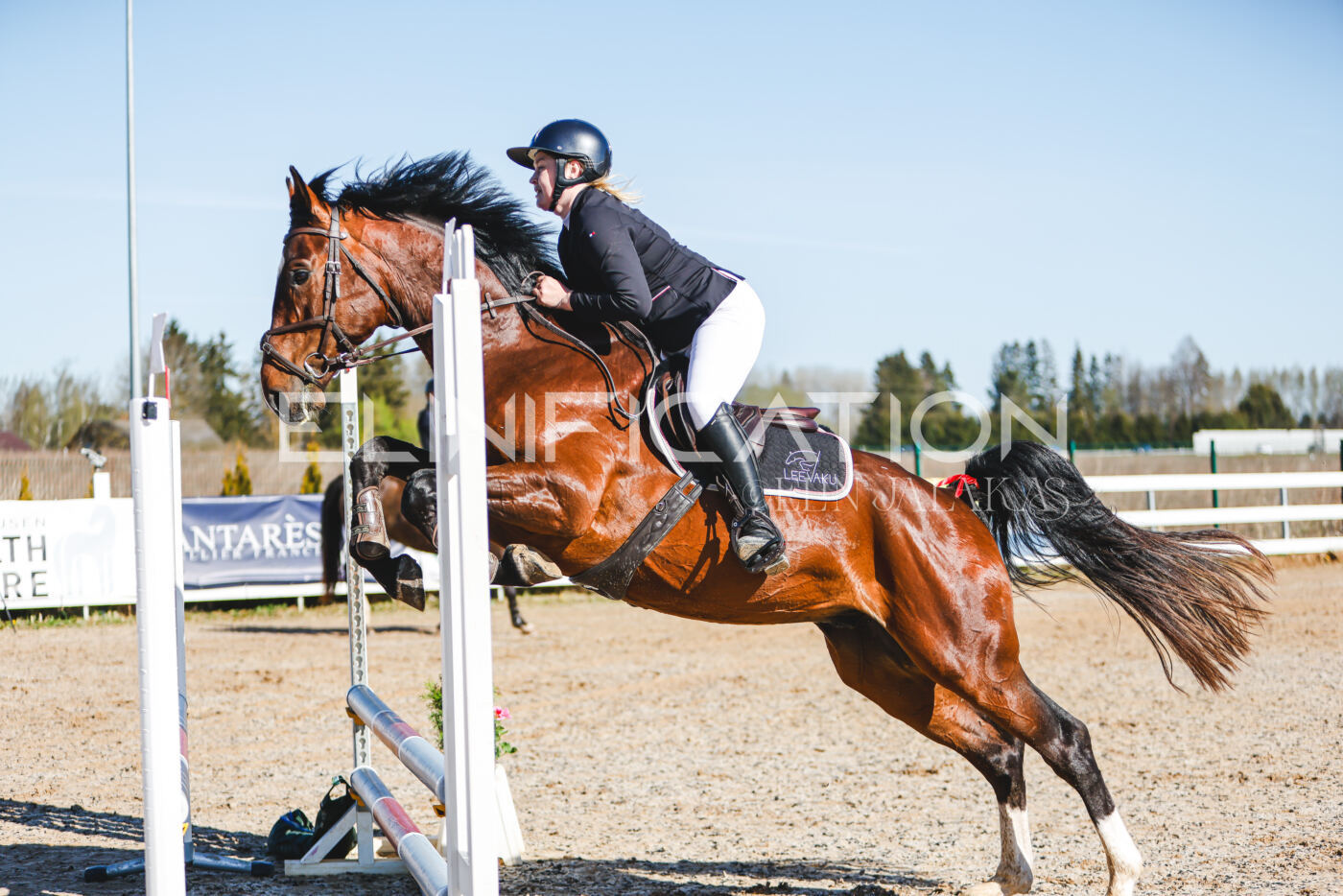 Gramina_Volber_2026_hc70-80_0019