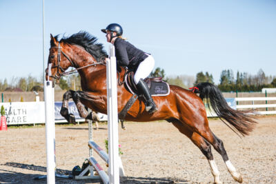 Gramina_Volber_2026_hc70-80_0020