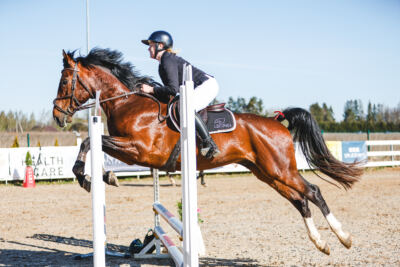 Gramina_Volber_2026_hc70-80_0021