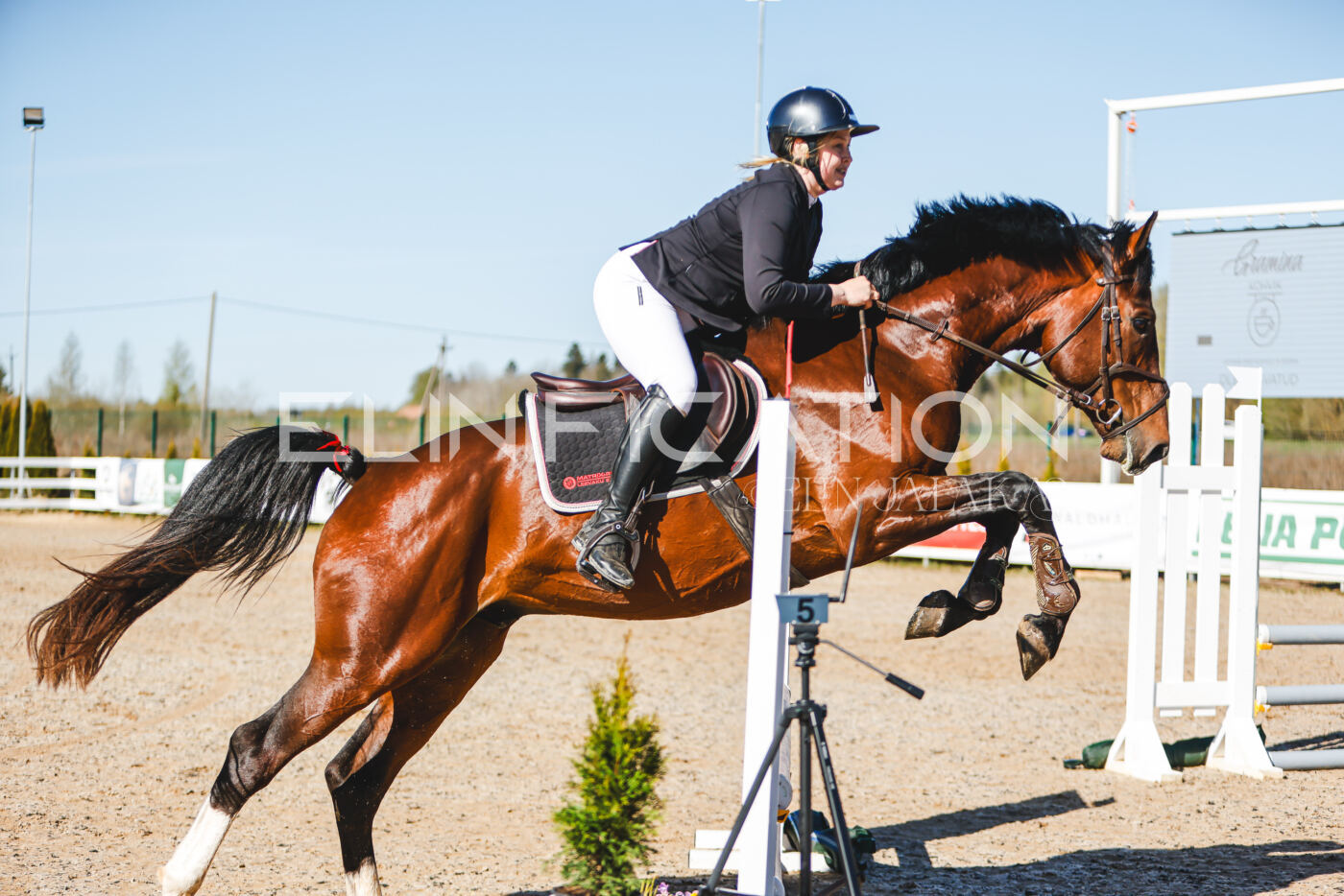 Gramina_Volber_2026_hc70-80_0028