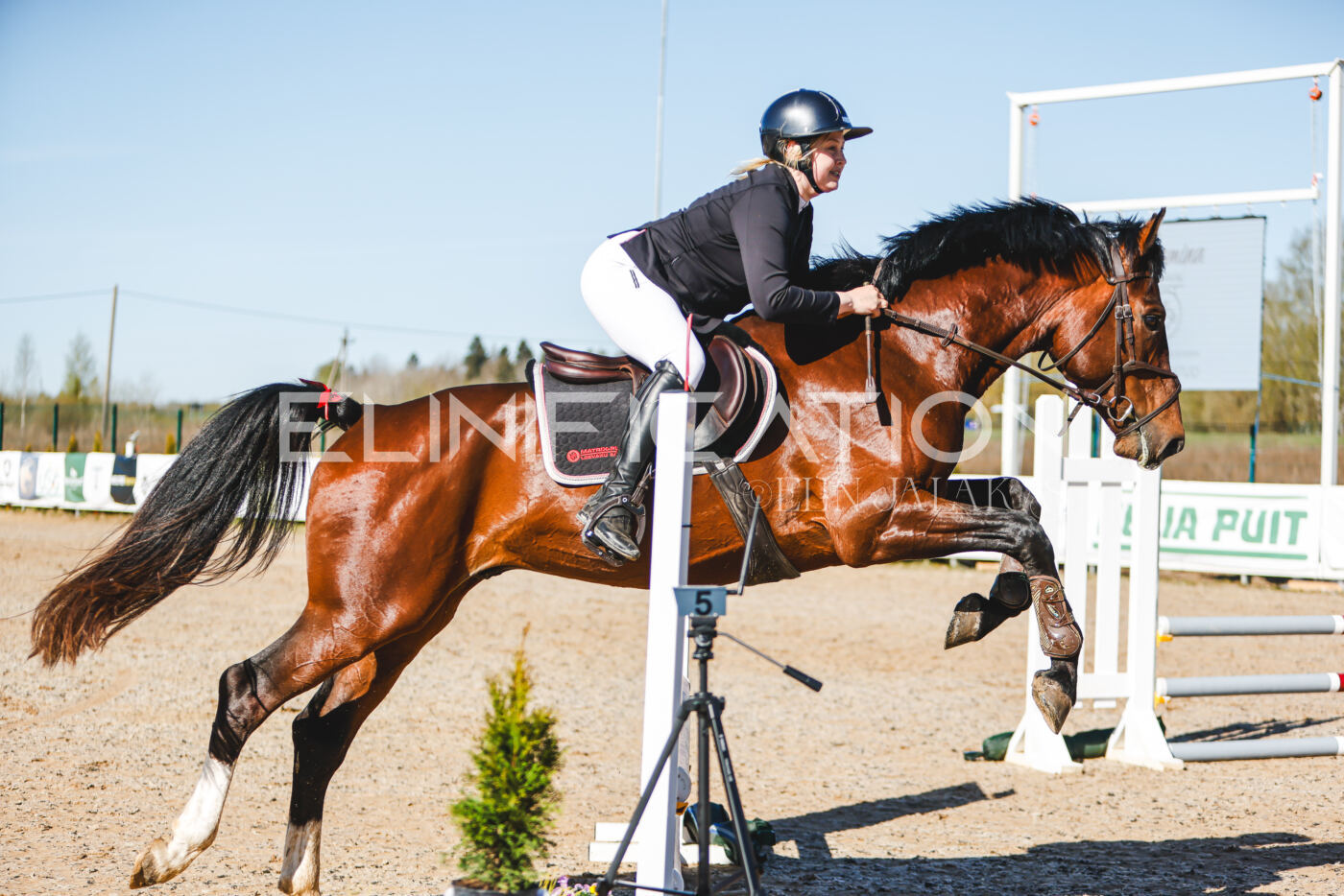 Gramina_Volber_2026_hc70-80_0029