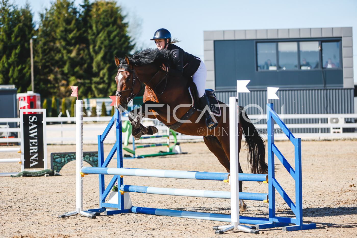 Gramina_Volber_2026_hc70-80_0033