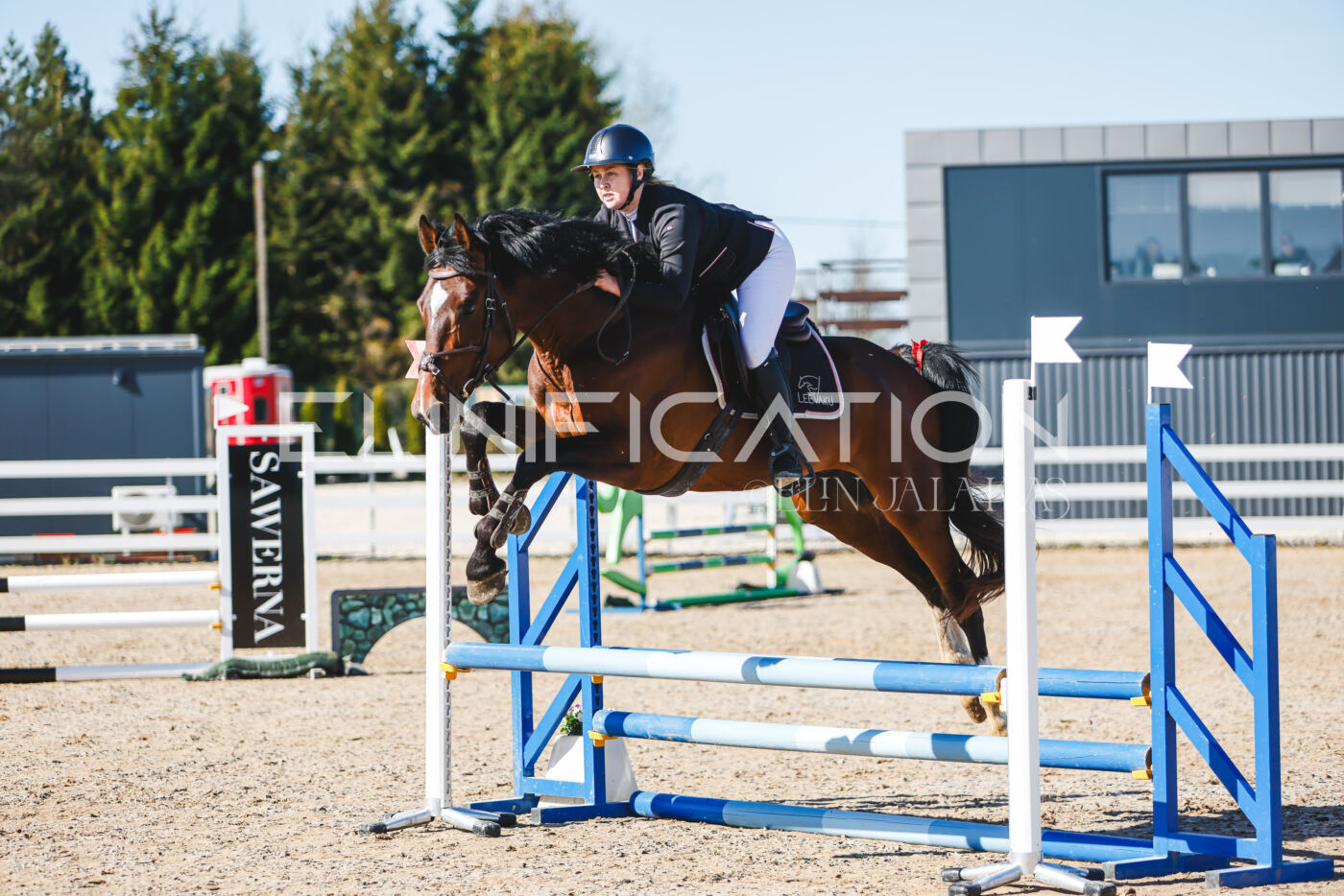 Gramina_Volber_2026_hc70-80_0035