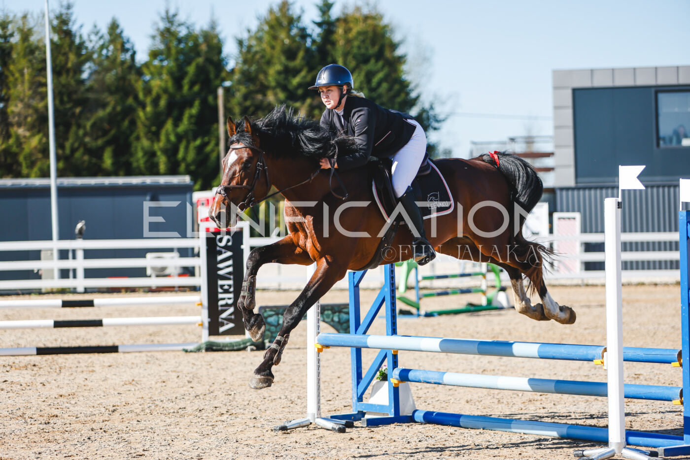 Gramina_Volber_2026_hc70-80_0037