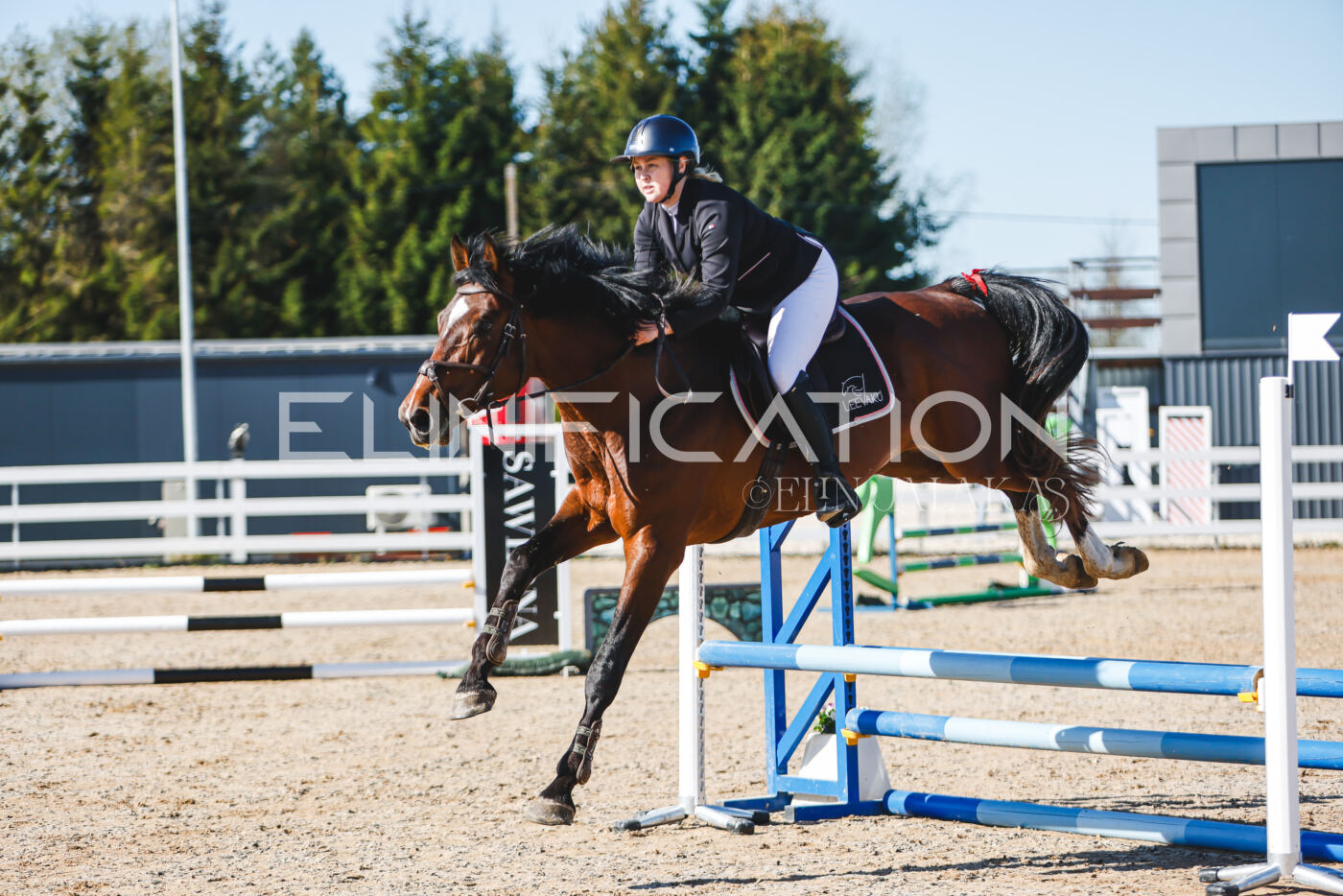 Gramina_Volber_2026_hc70-80_0038
