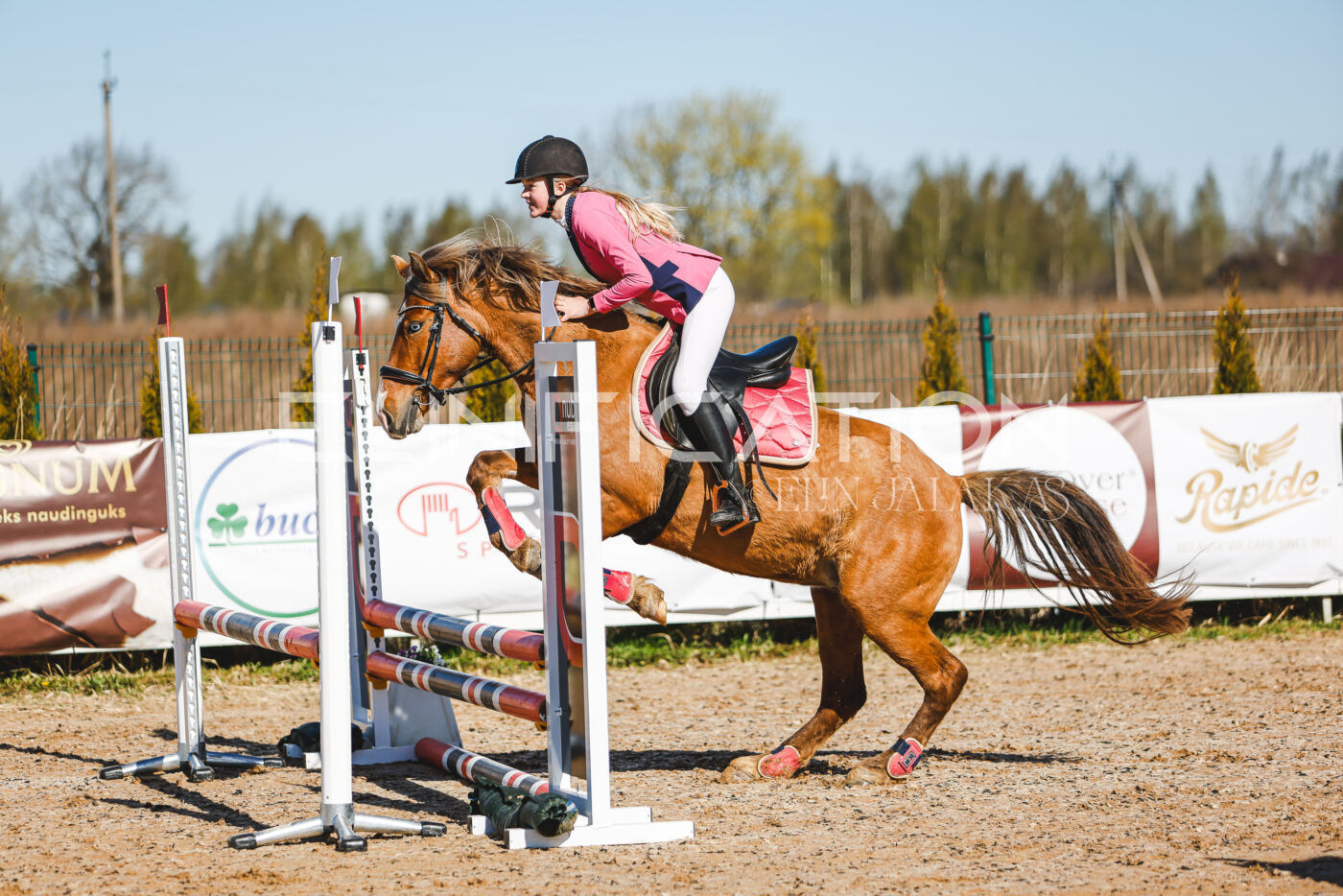 Gramina_Volber_2026_hc70-80_0070