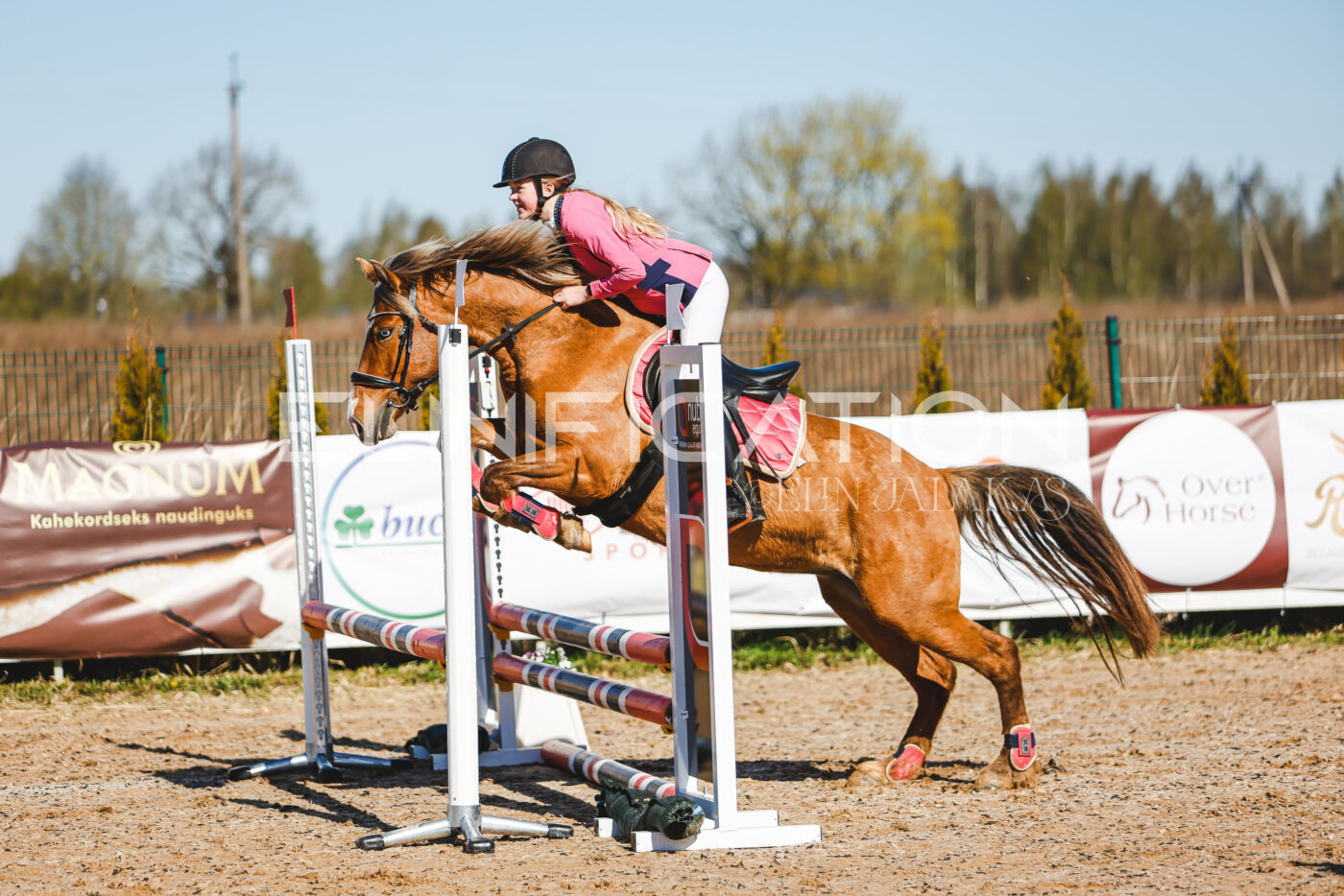 Gramina_Volber_2026_hc70-80_0072