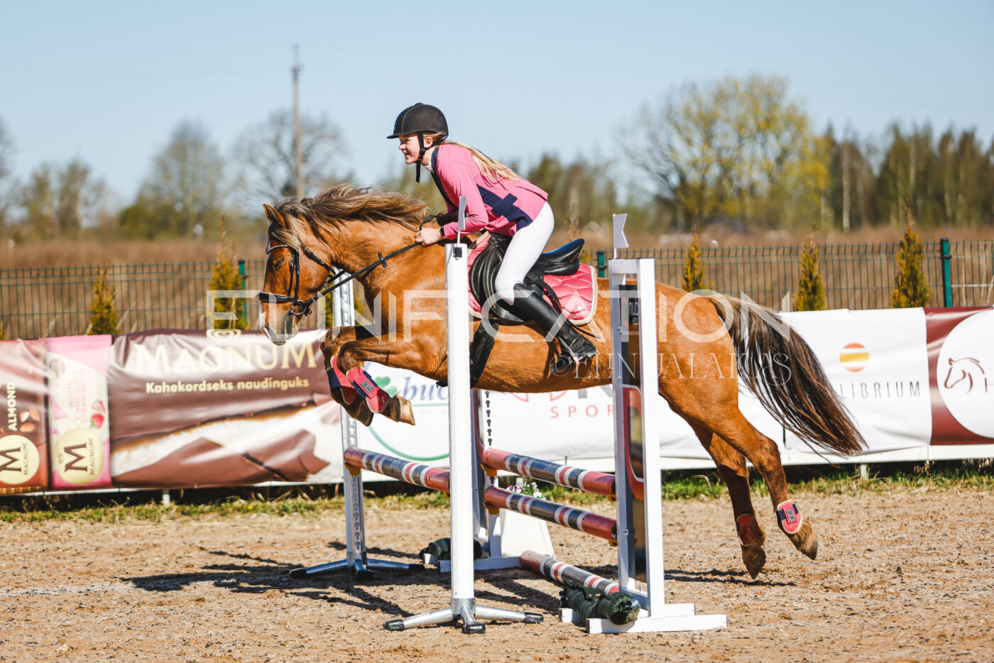 Gramina_Volber_2026_hc70-80_0074