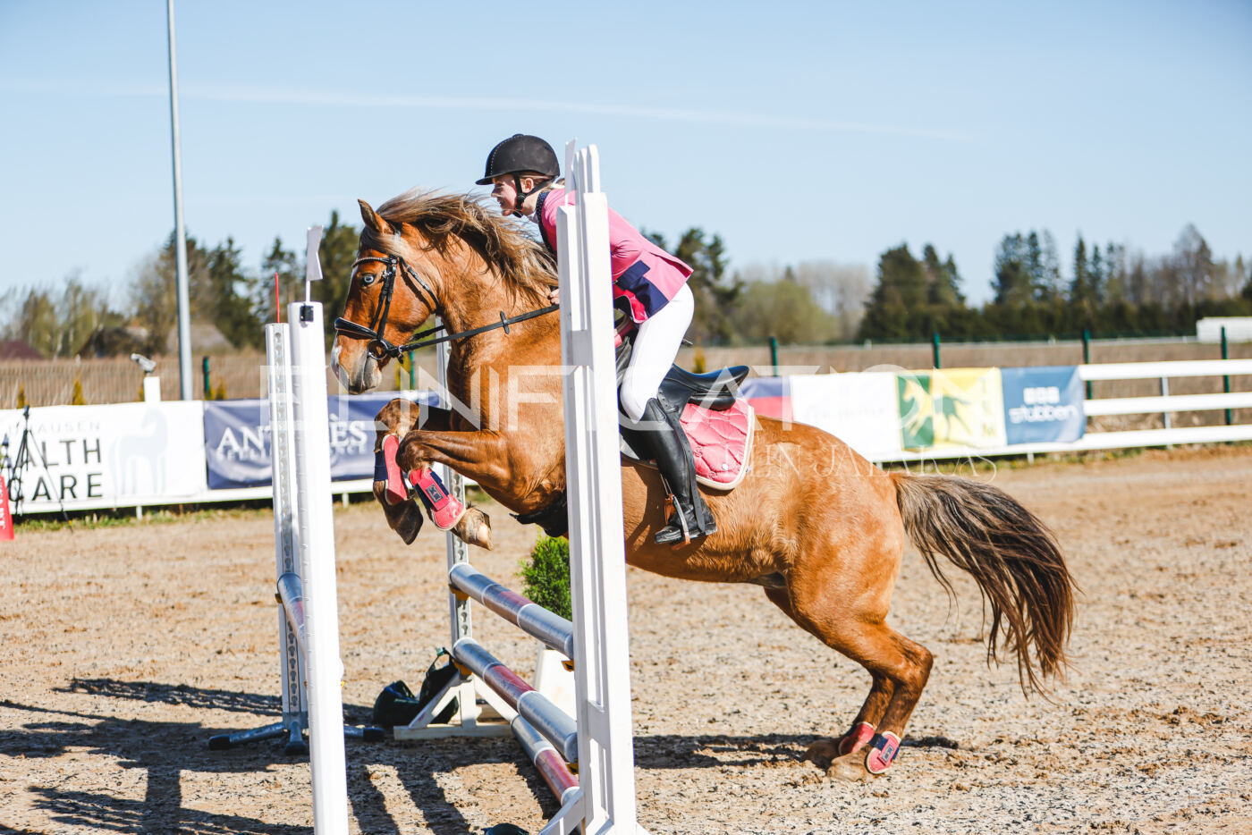 Gramina_Volber_2026_hc70-80_0080