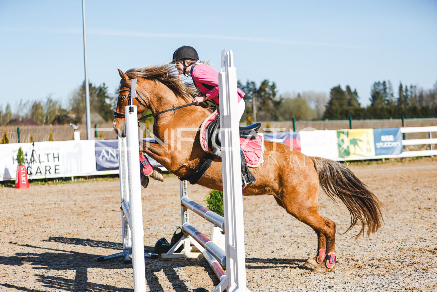 Gramina_Volber_2026_hc70-80_0081