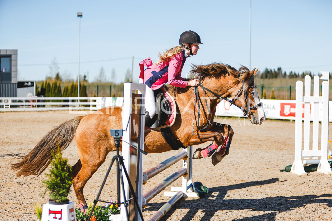 Gramina_Volber_2026_hc70-80_0092