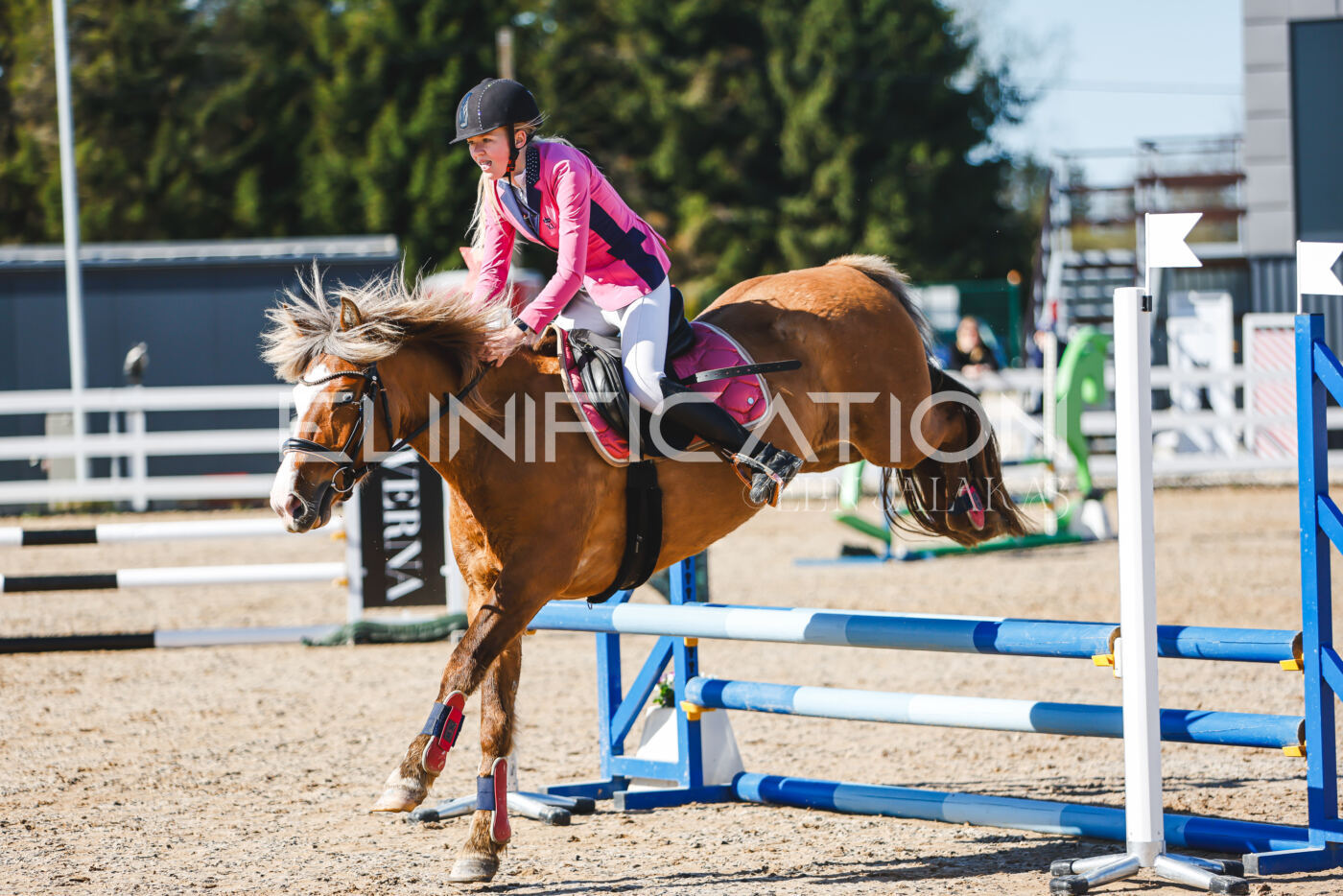 Gramina_Volber_2026_hc70-80_0099