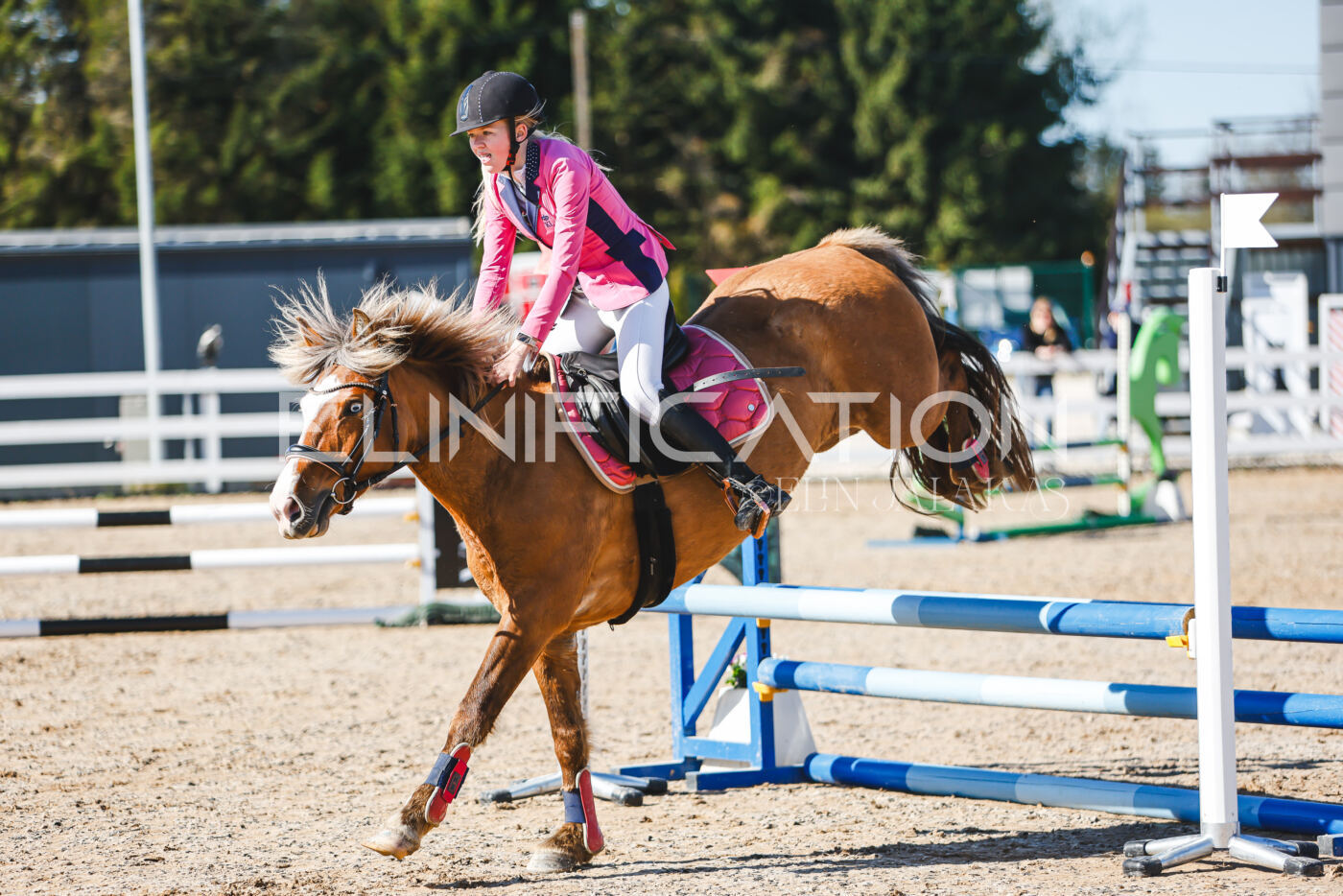 Gramina_Volber_2026_hc70-80_0100