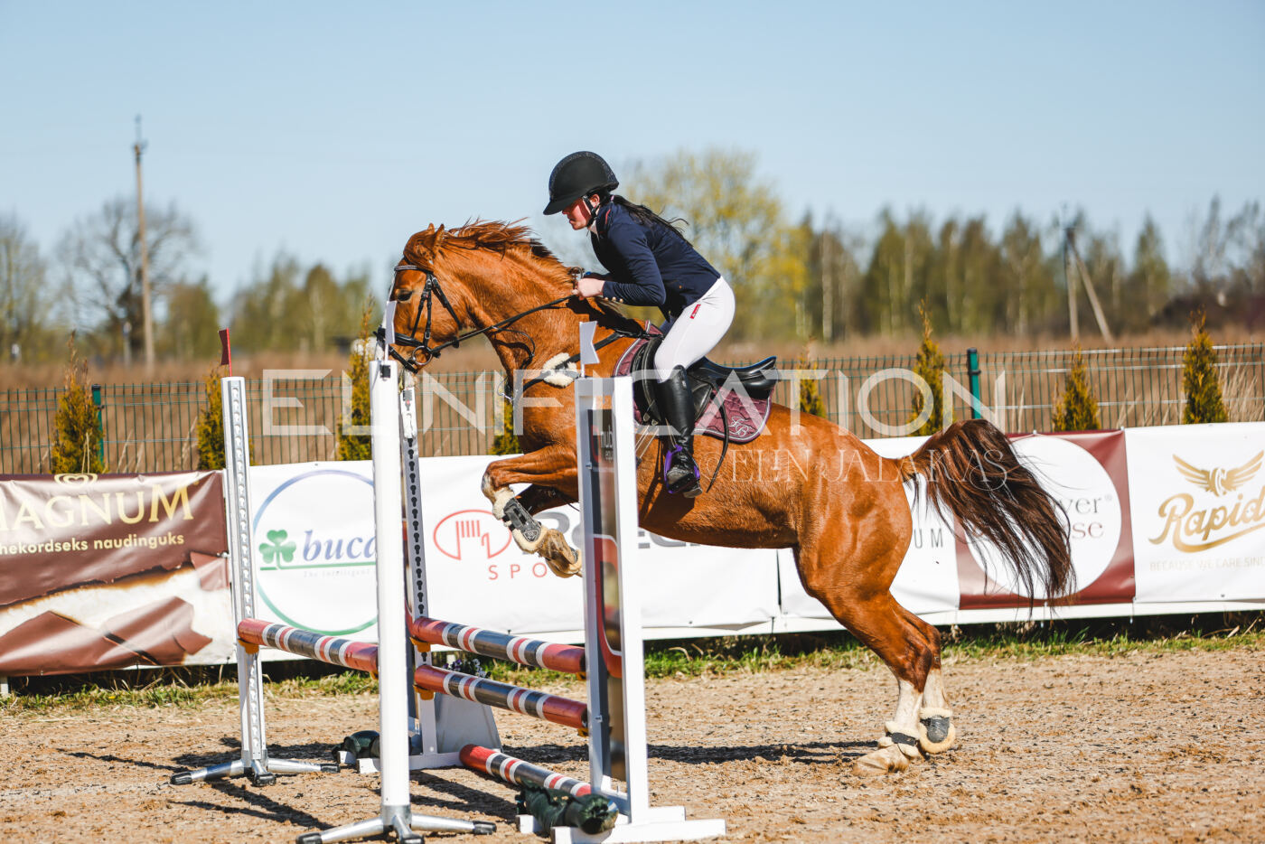 Gramina_Volber_2026_hc70-80_0101