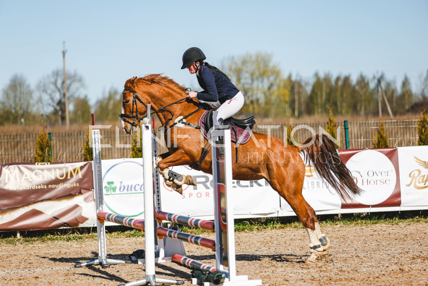 Gramina_Volber_2026_hc70-80_0102