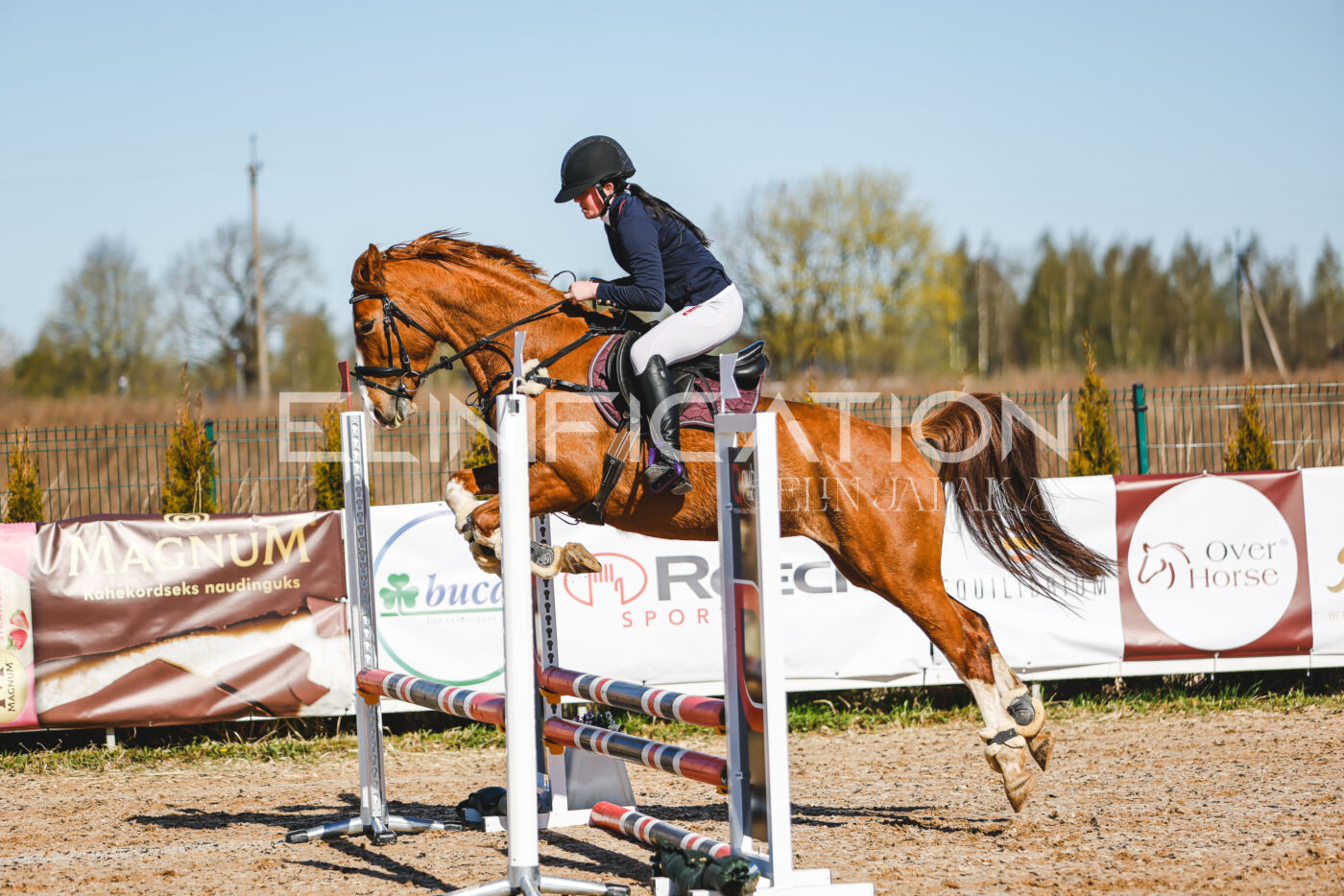 Gramina_Volber_2026_hc70-80_0103