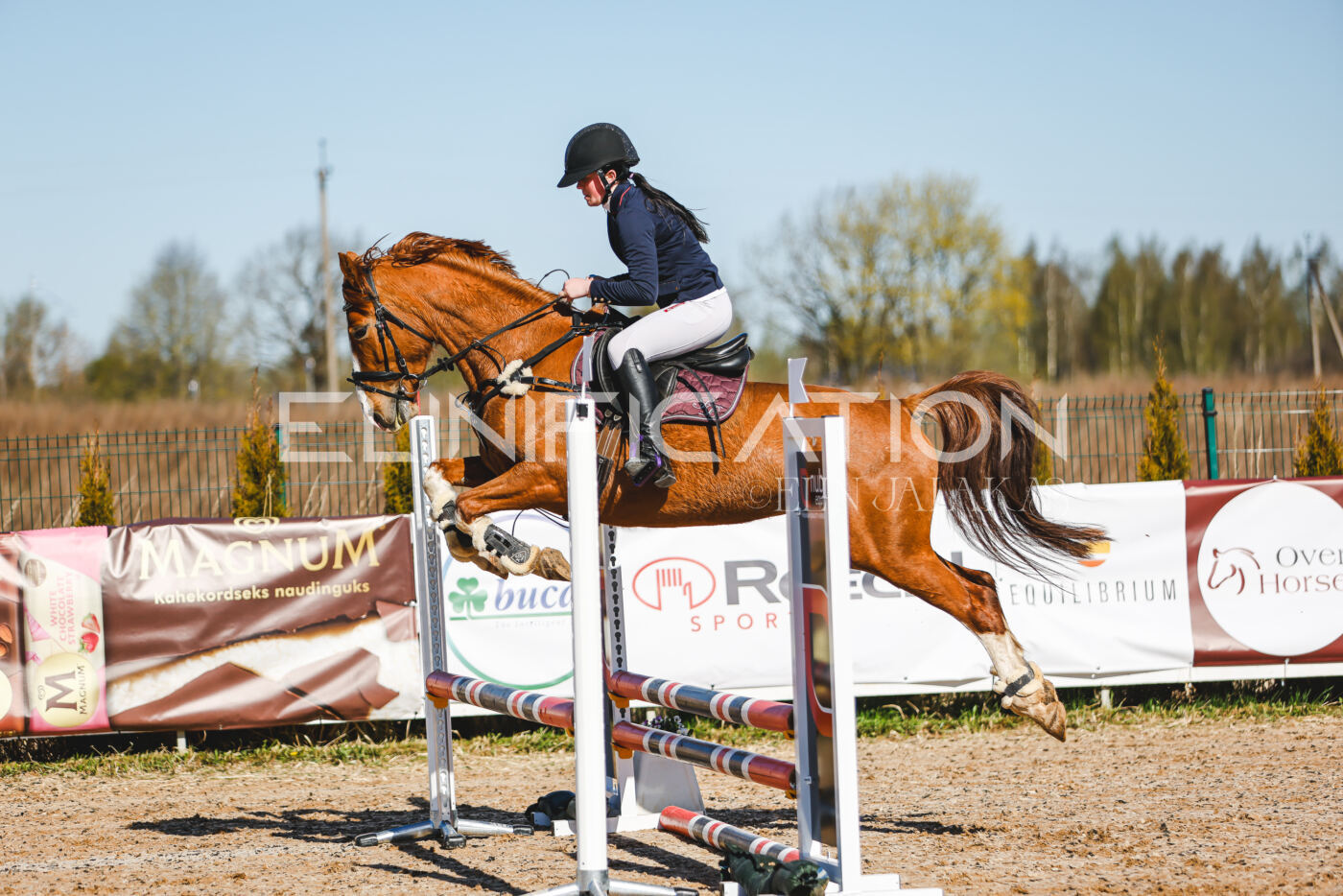 Gramina_Volber_2026_hc70-80_0104