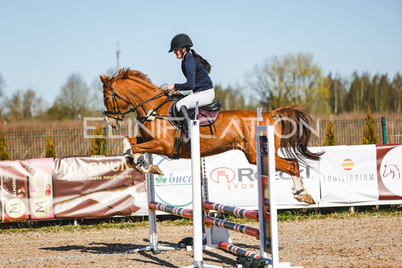 Gramina_Volber_2026_hc70-80_0105