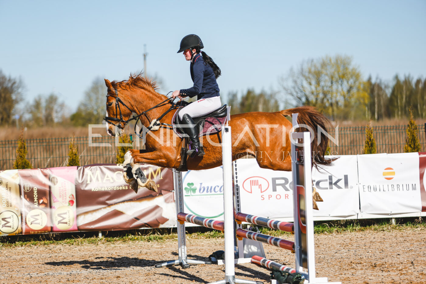 Gramina_Volber_2026_hc70-80_0106