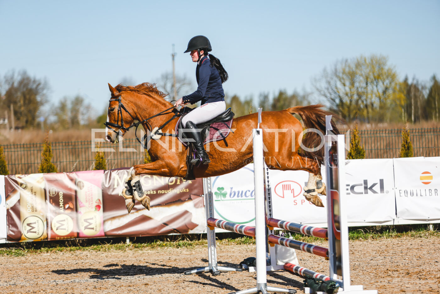 Gramina_Volber_2026_hc70-80_0107