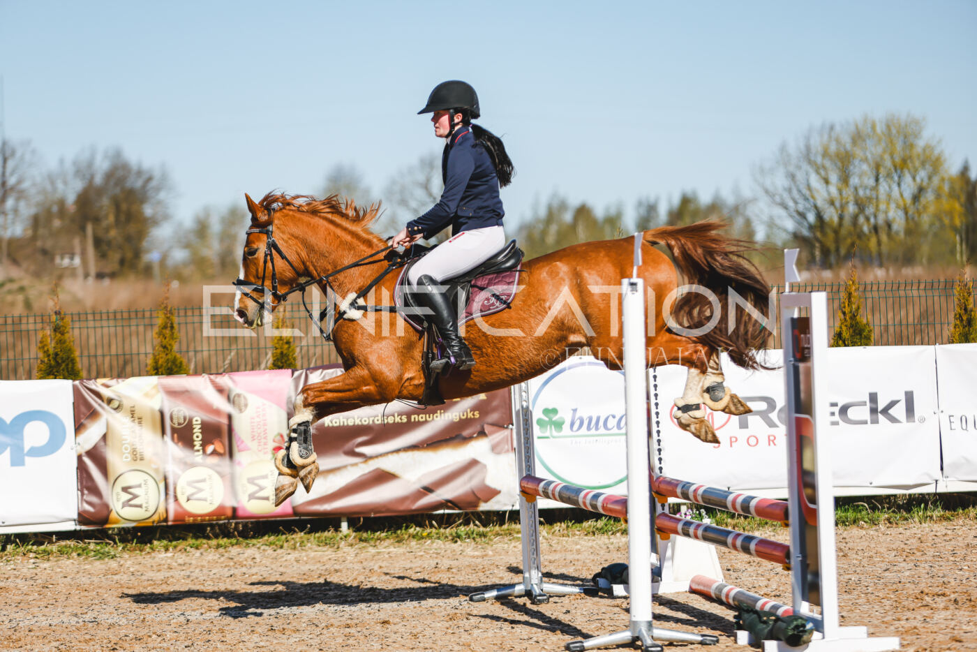 Gramina_Volber_2026_hc70-80_0108