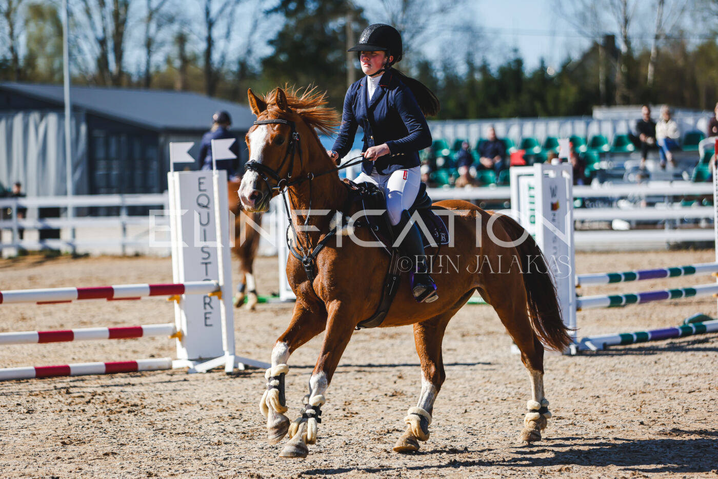 Gramina_Volber_2026_hc70-80_0120