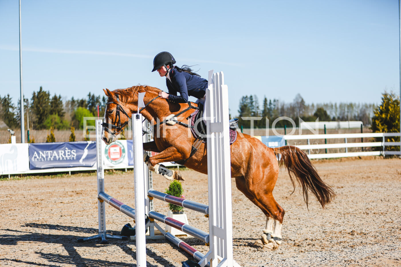 Gramina_Volber_2026_hc70-80_0121