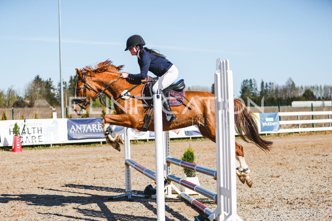 Gramina_Volber_2026_hc70-80_0124