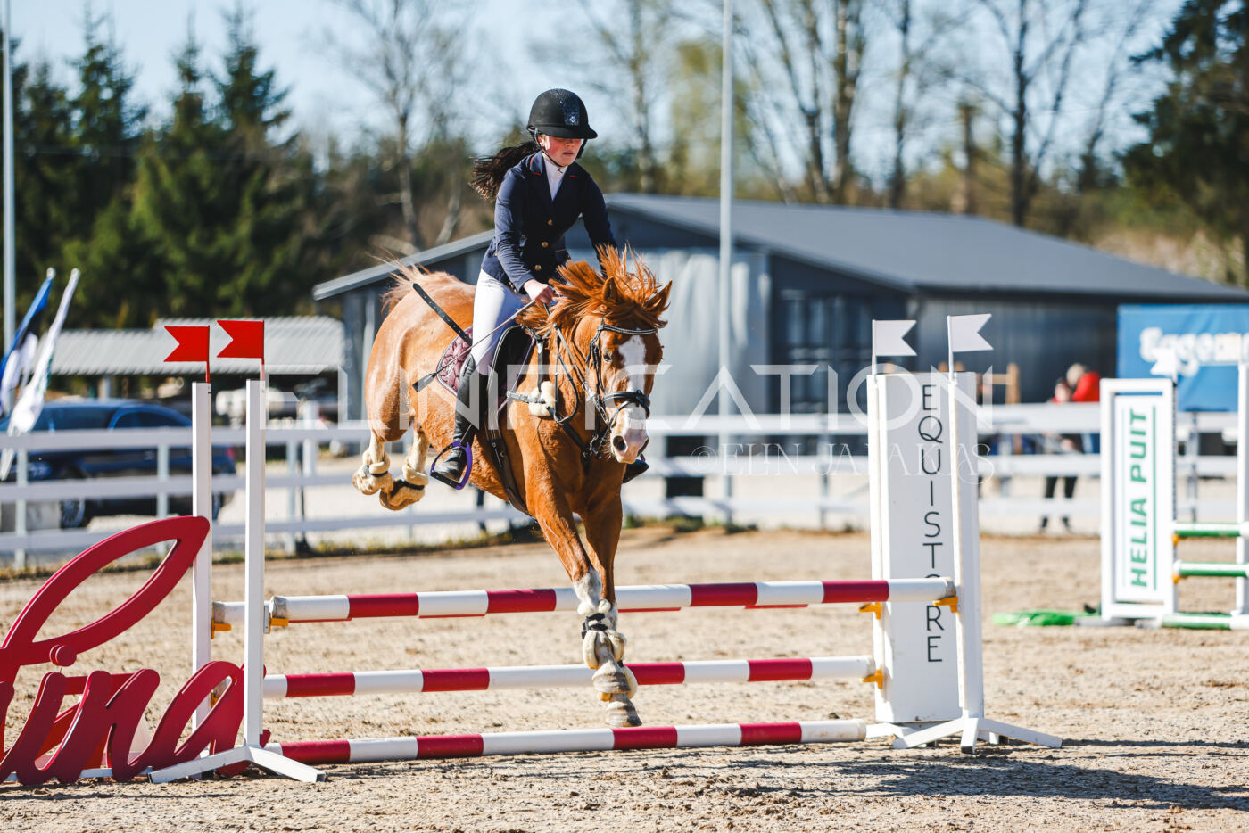 Gramina_Volber_2026_hc70-80_0134