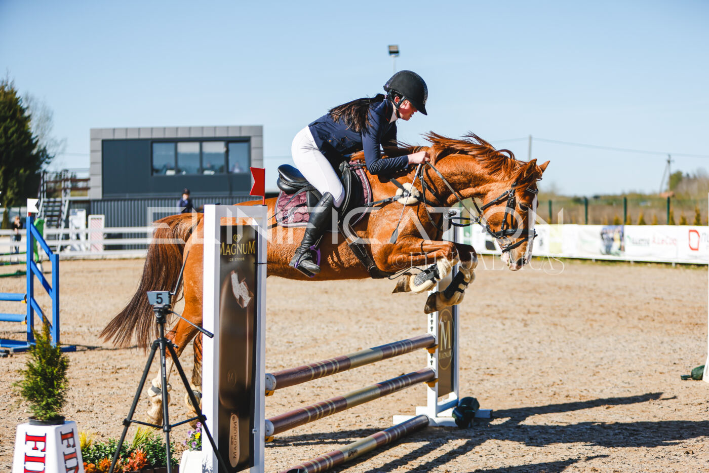 Gramina_Volber_2026_hc70-80_0137