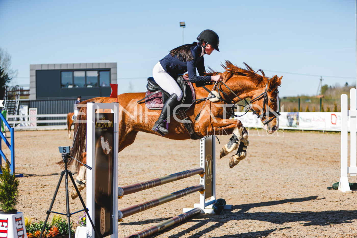 Gramina_Volber_2026_hc70-80_0138