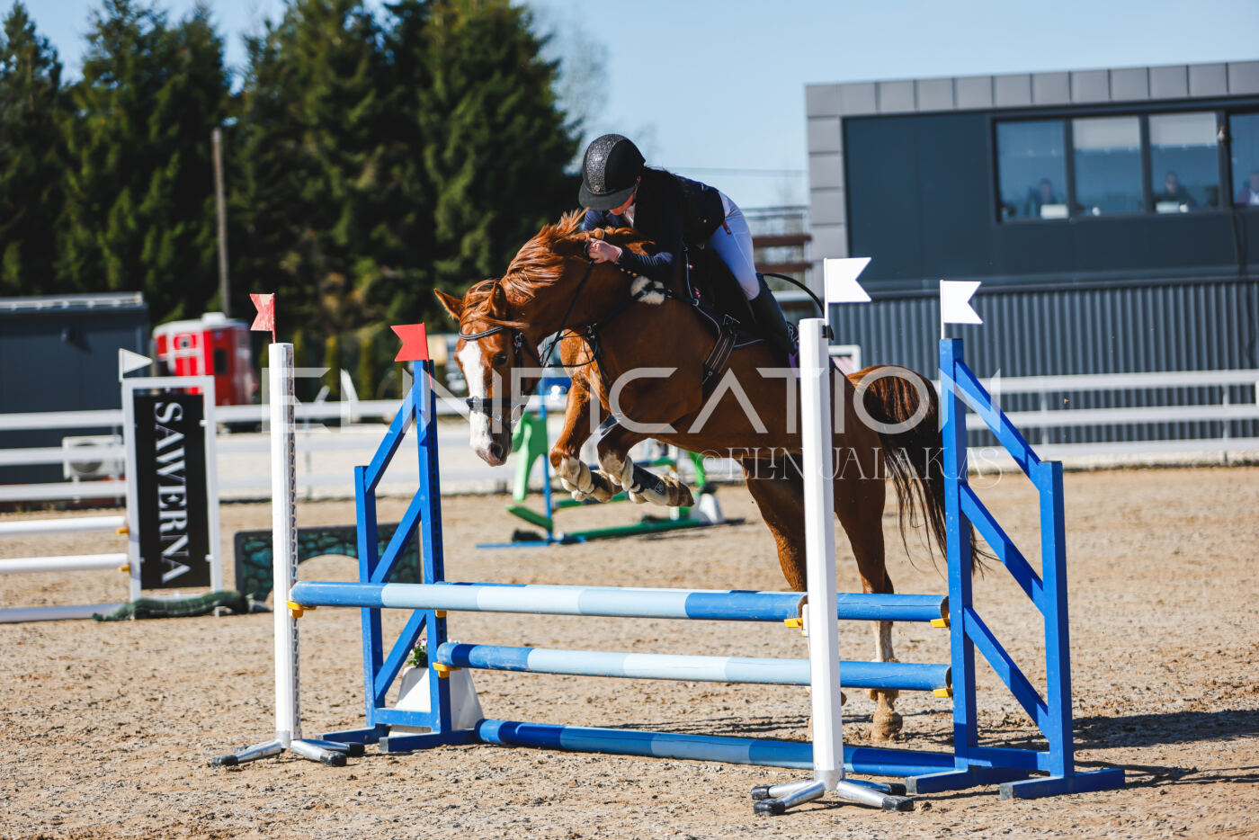 Gramina_Volber_2026_hc70-80_0139