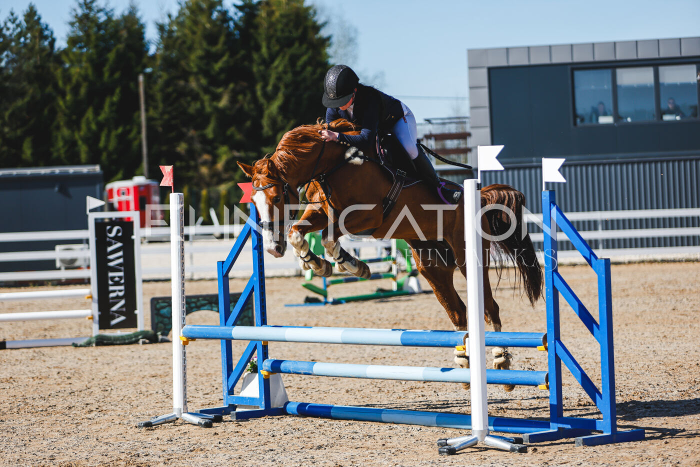 Gramina_Volber_2026_hc70-80_0140